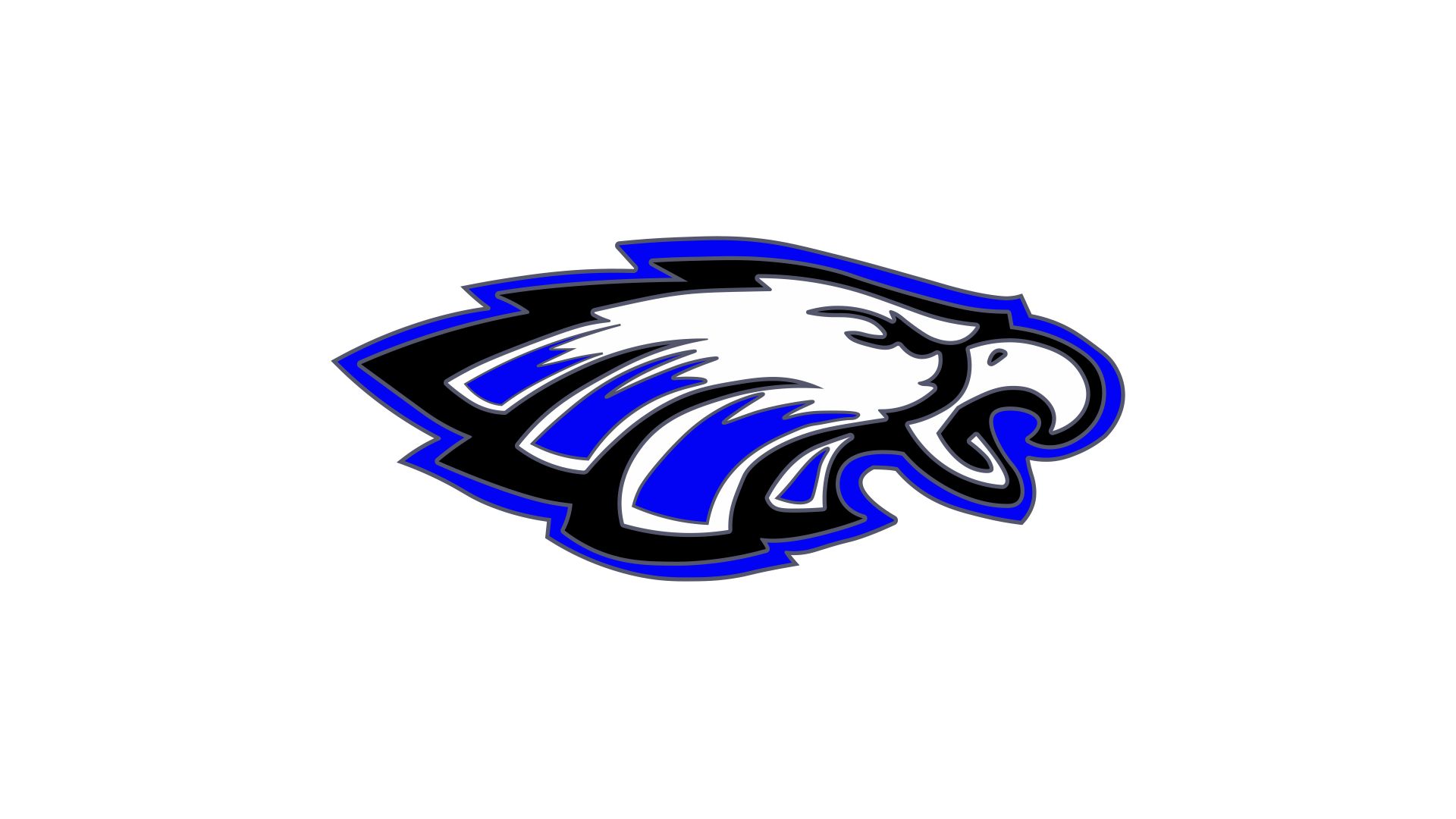 Sanford-Fritch Eagles (25-26)