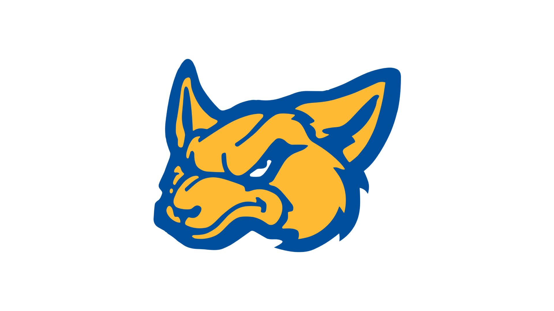 Nazareth Swifts (25-26)