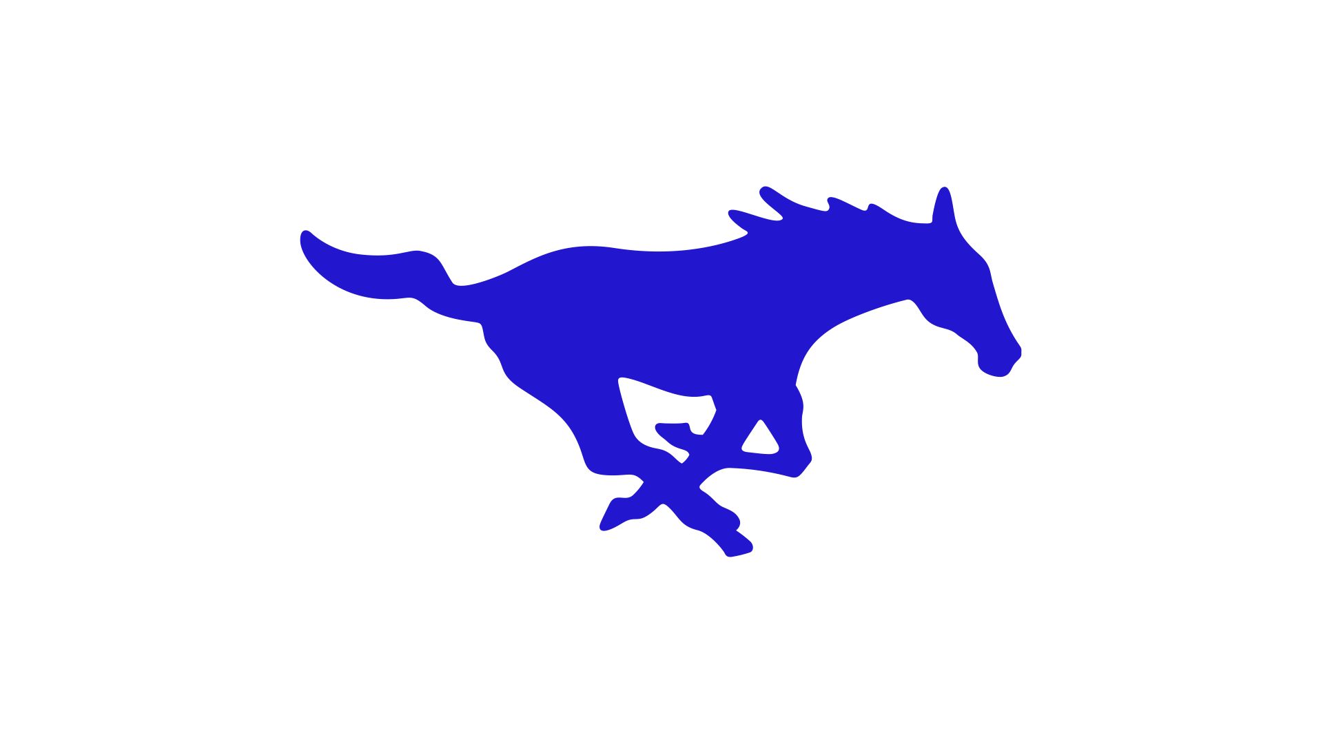 Wildorado Mustangs (25-26)