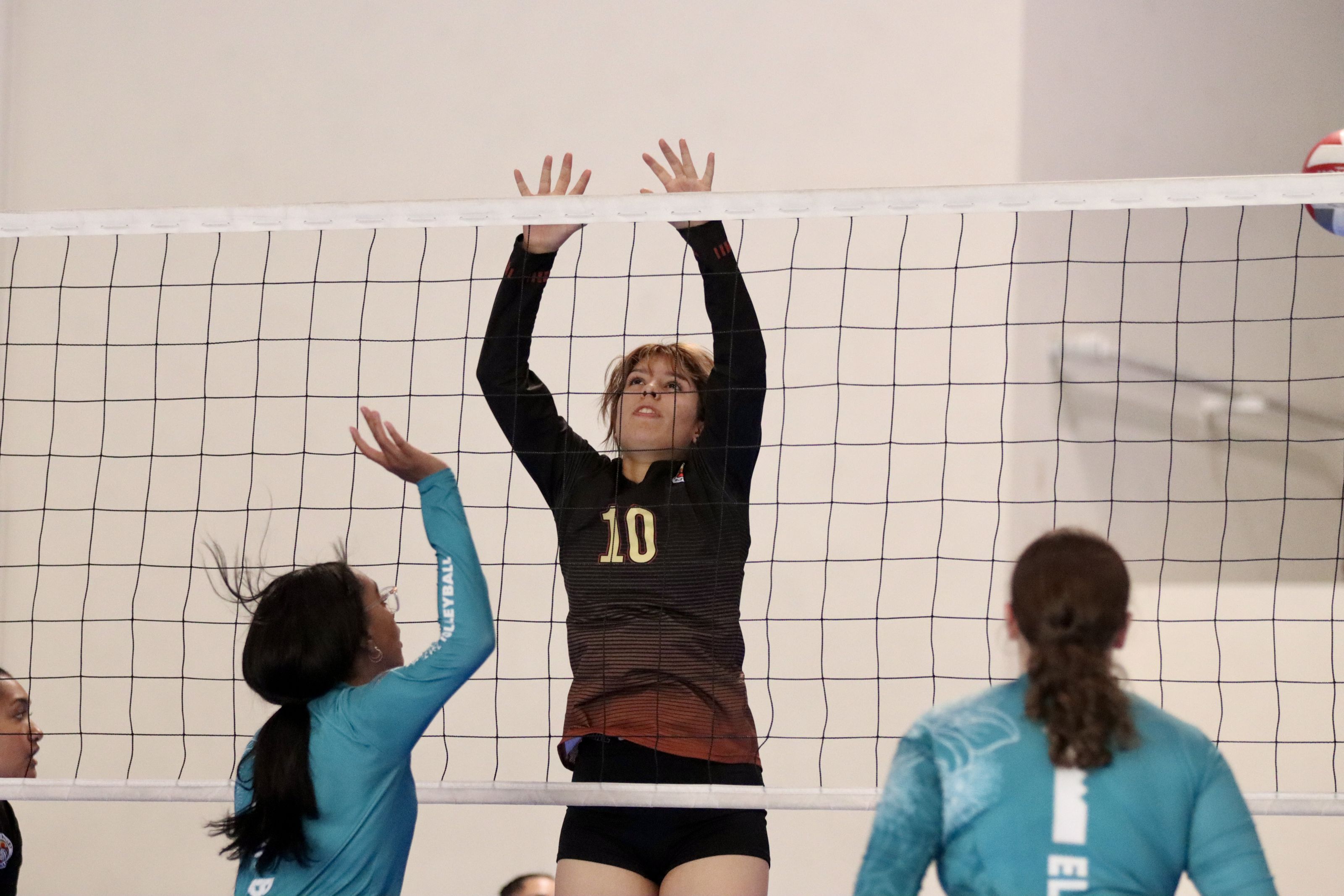 PVHS Volleyball 2025