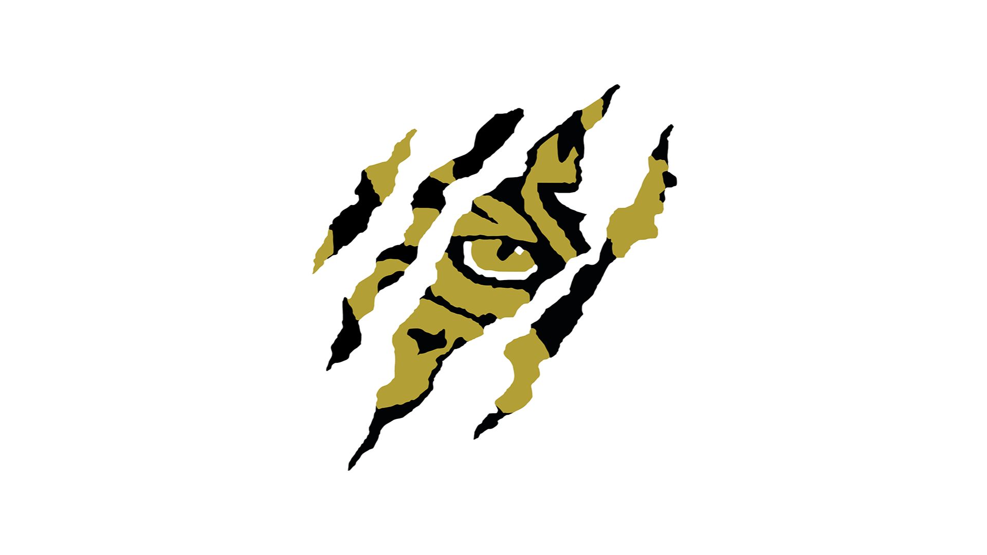 McLean Tigers (25-26)
