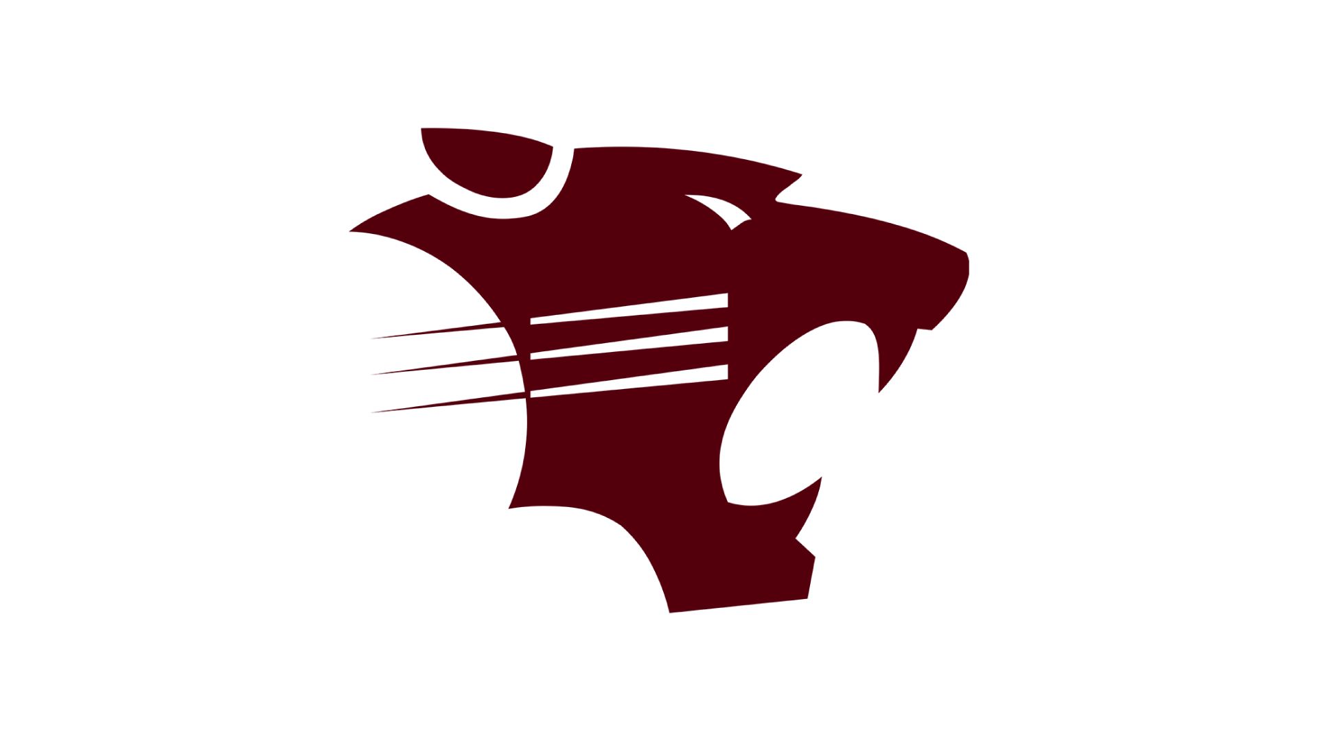 Hawley Bearcats (25-26)