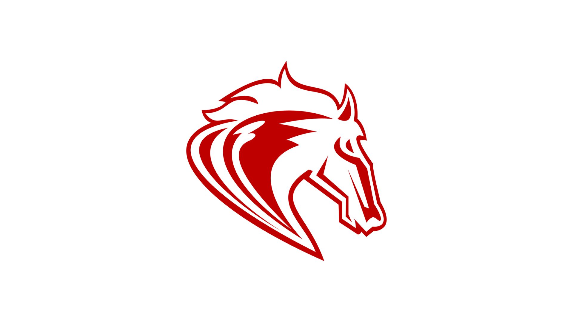 Holy Cross Catholic Academy Mustangs (25-26)