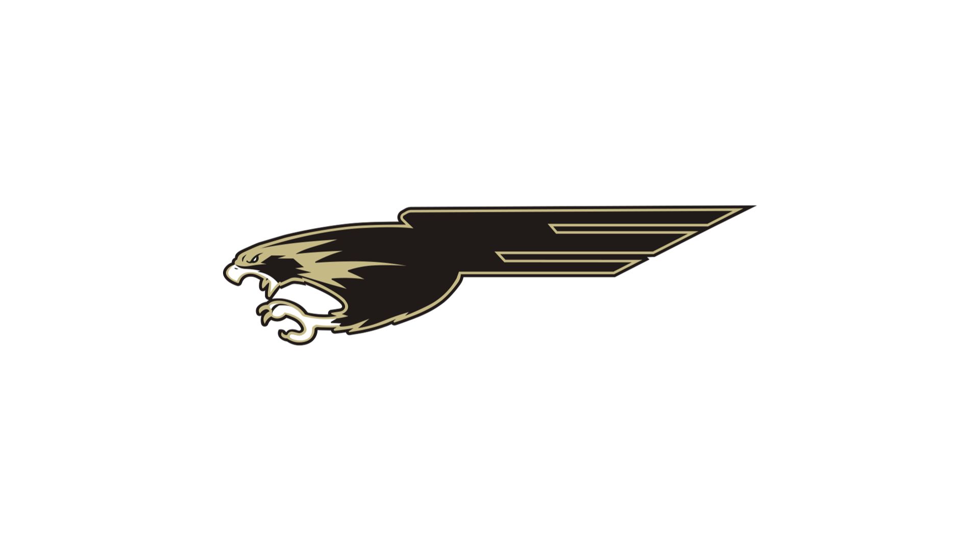 Bushland Falcons (25-26)