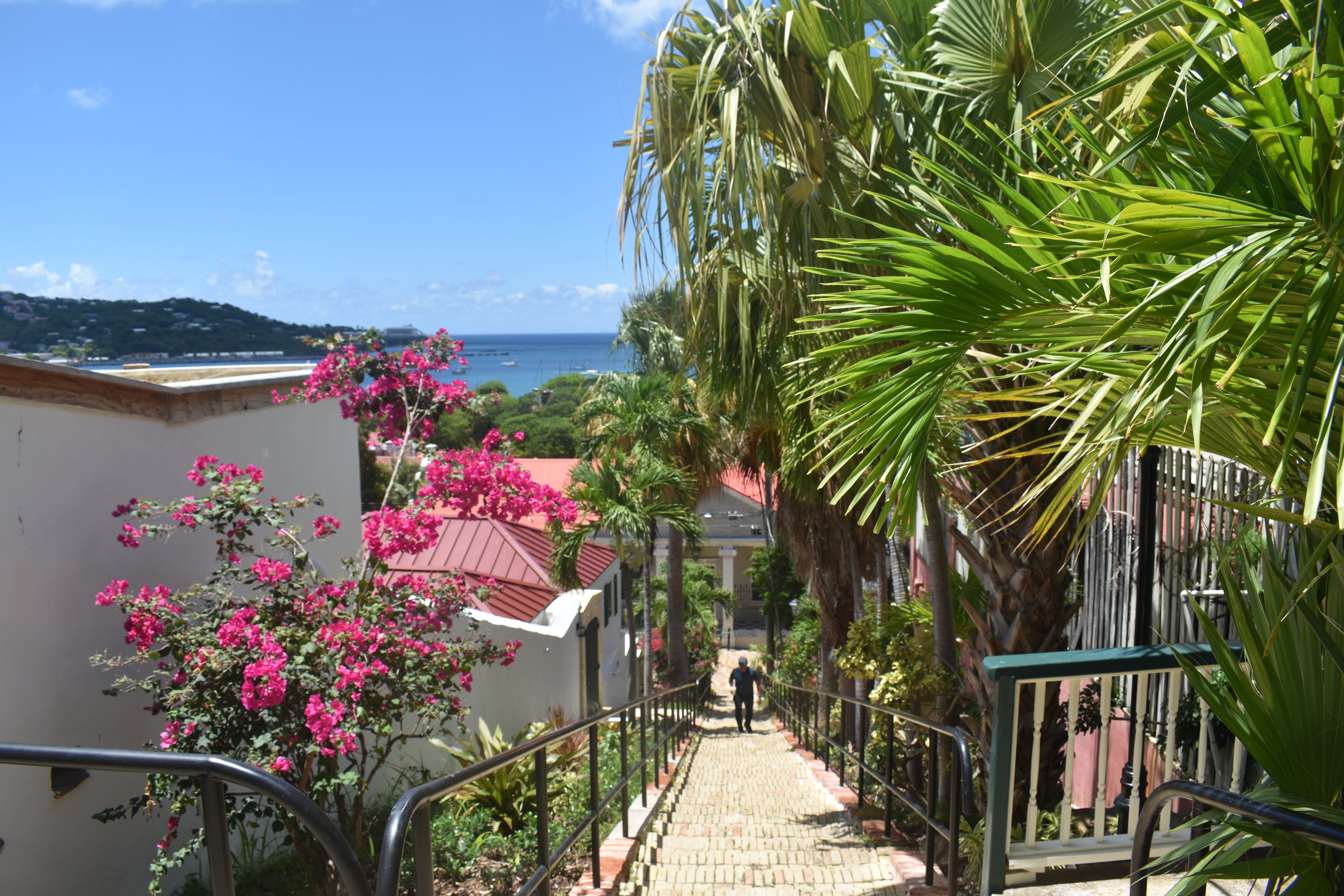 School Trips 2026: Mountain Middle School US Virgin Islands 2026