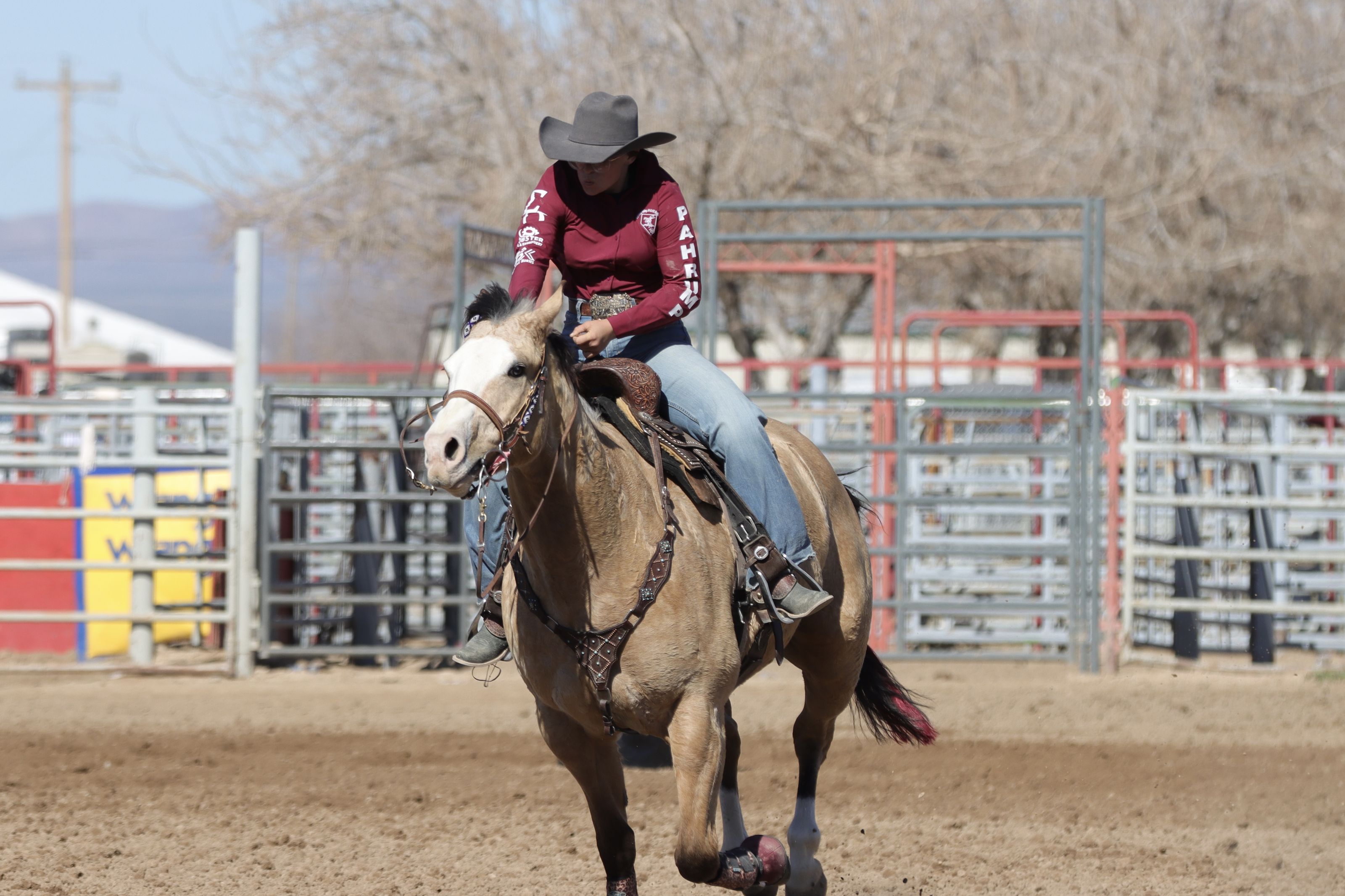 Rodeo Photos