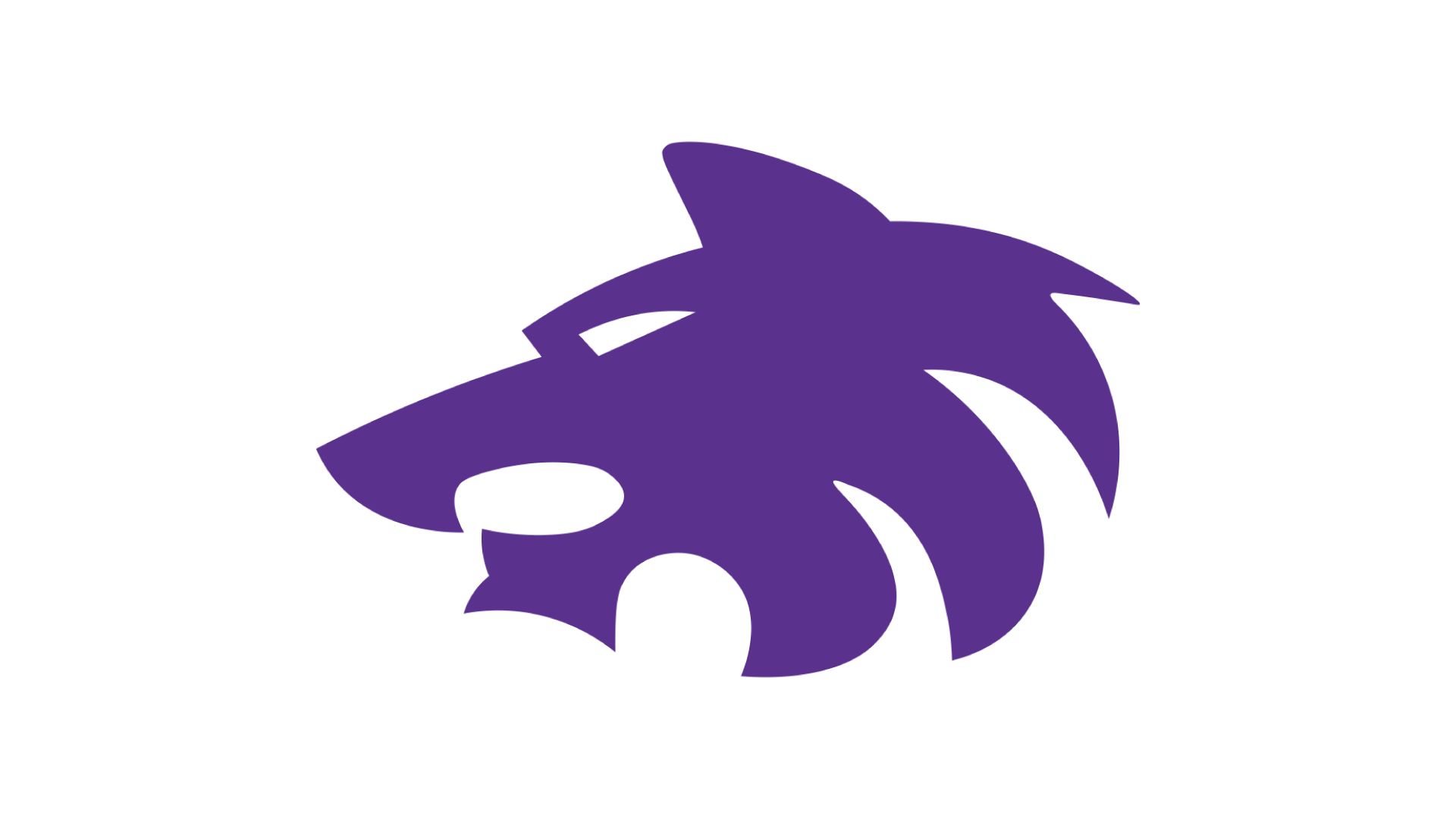 Dalhart Golden Wolves (25-26)