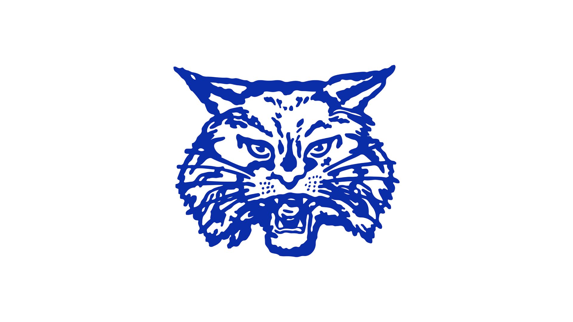 Childress Bobcats (25-26)