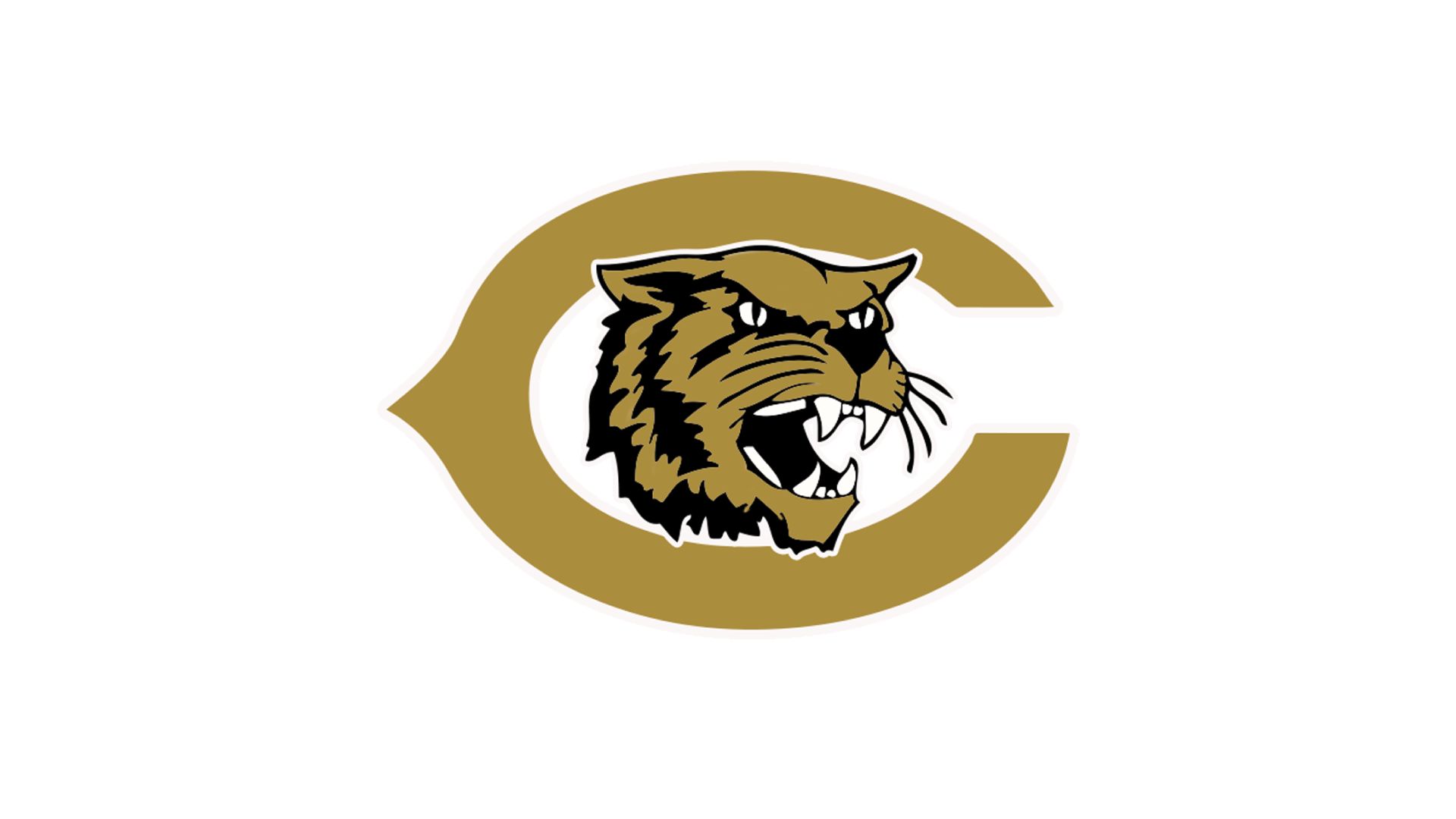 Canadian Wildcats (25-26)