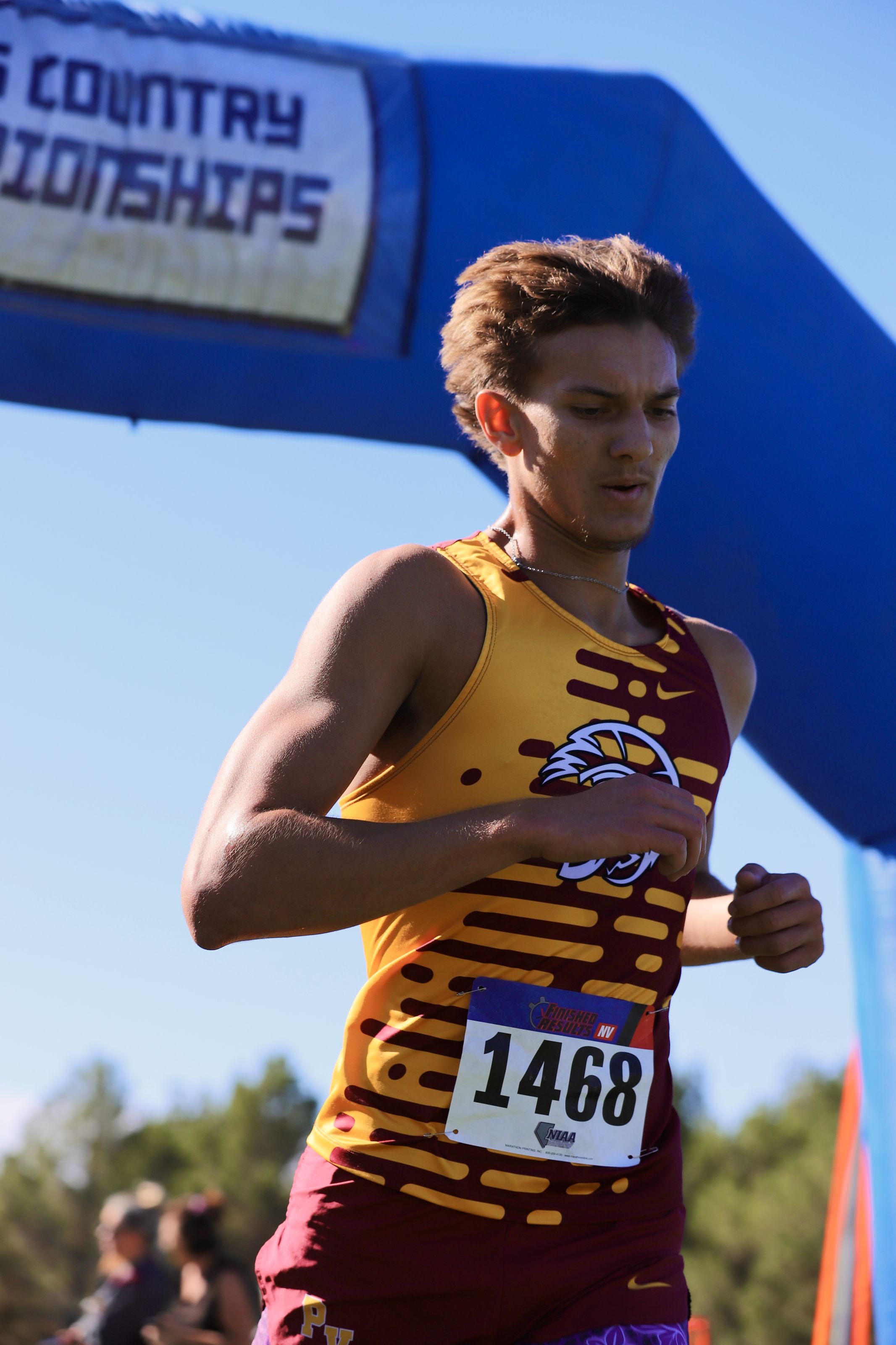 Cross Country Regionals and State 2025