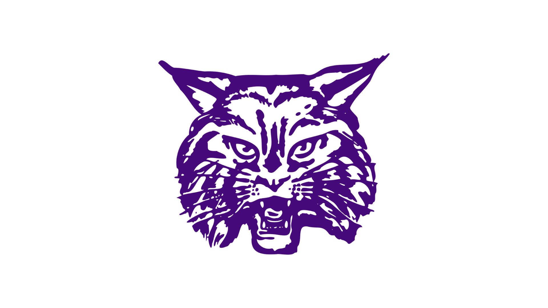 Dimmitt Bobcats (25-26)