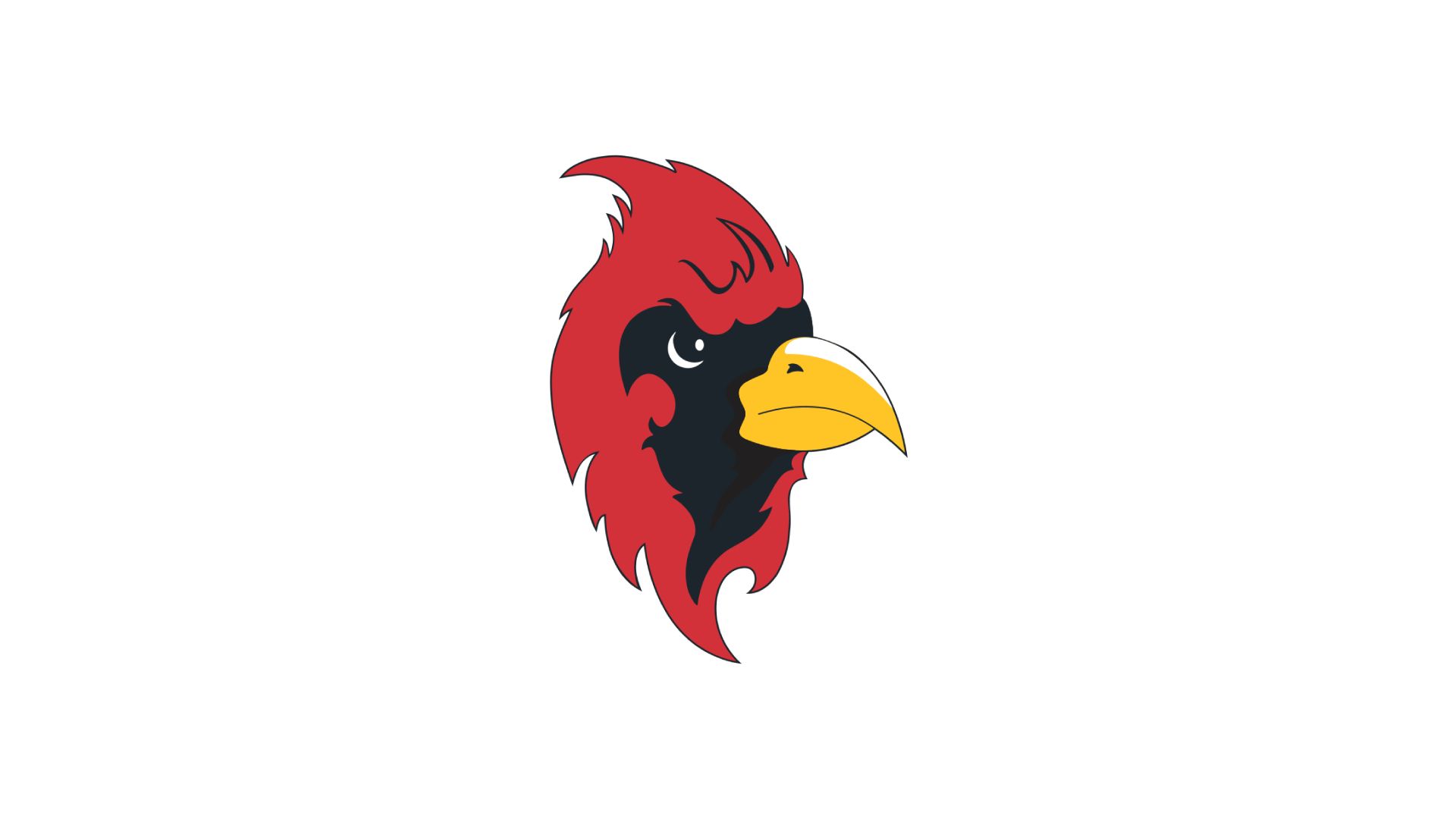 Ascension Academy Cardinals (25-26)