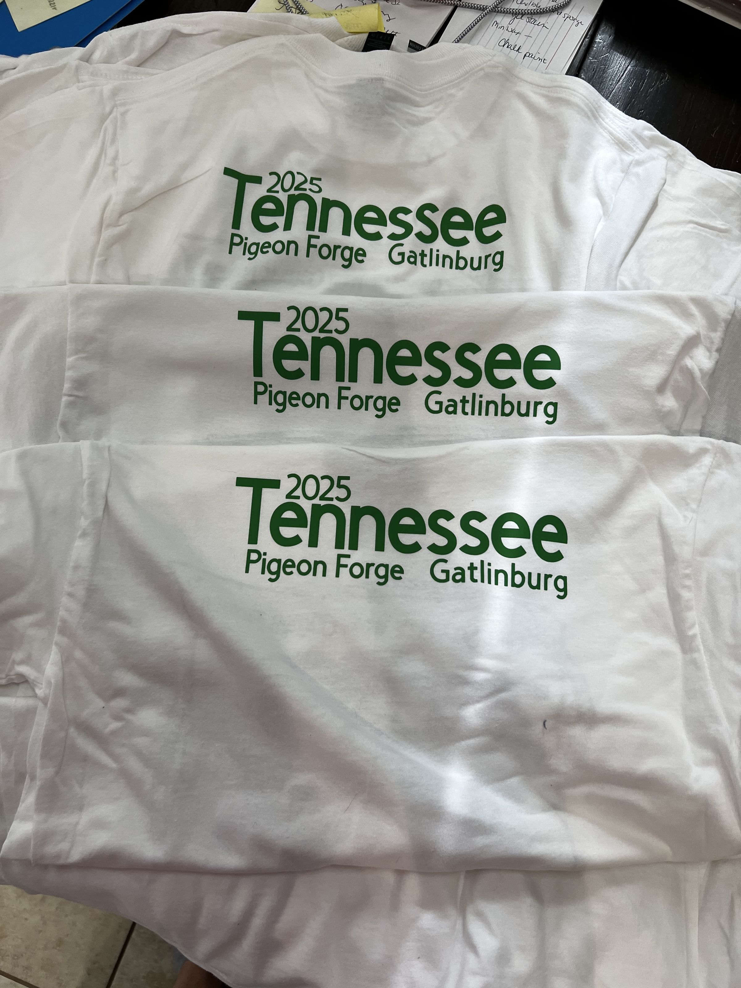 Tennessee Mountains Travel Camp 2025