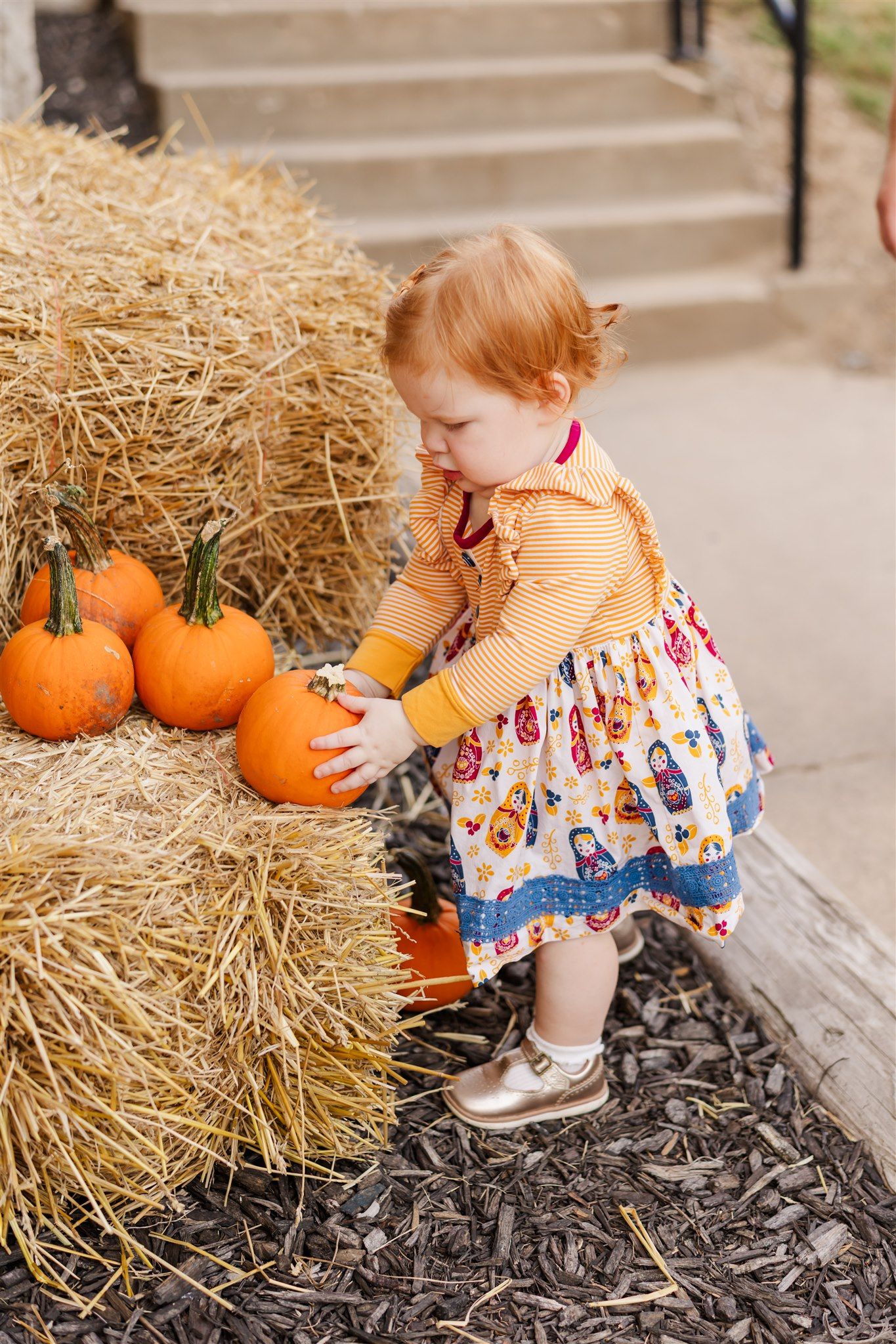 A Night Under the Stars