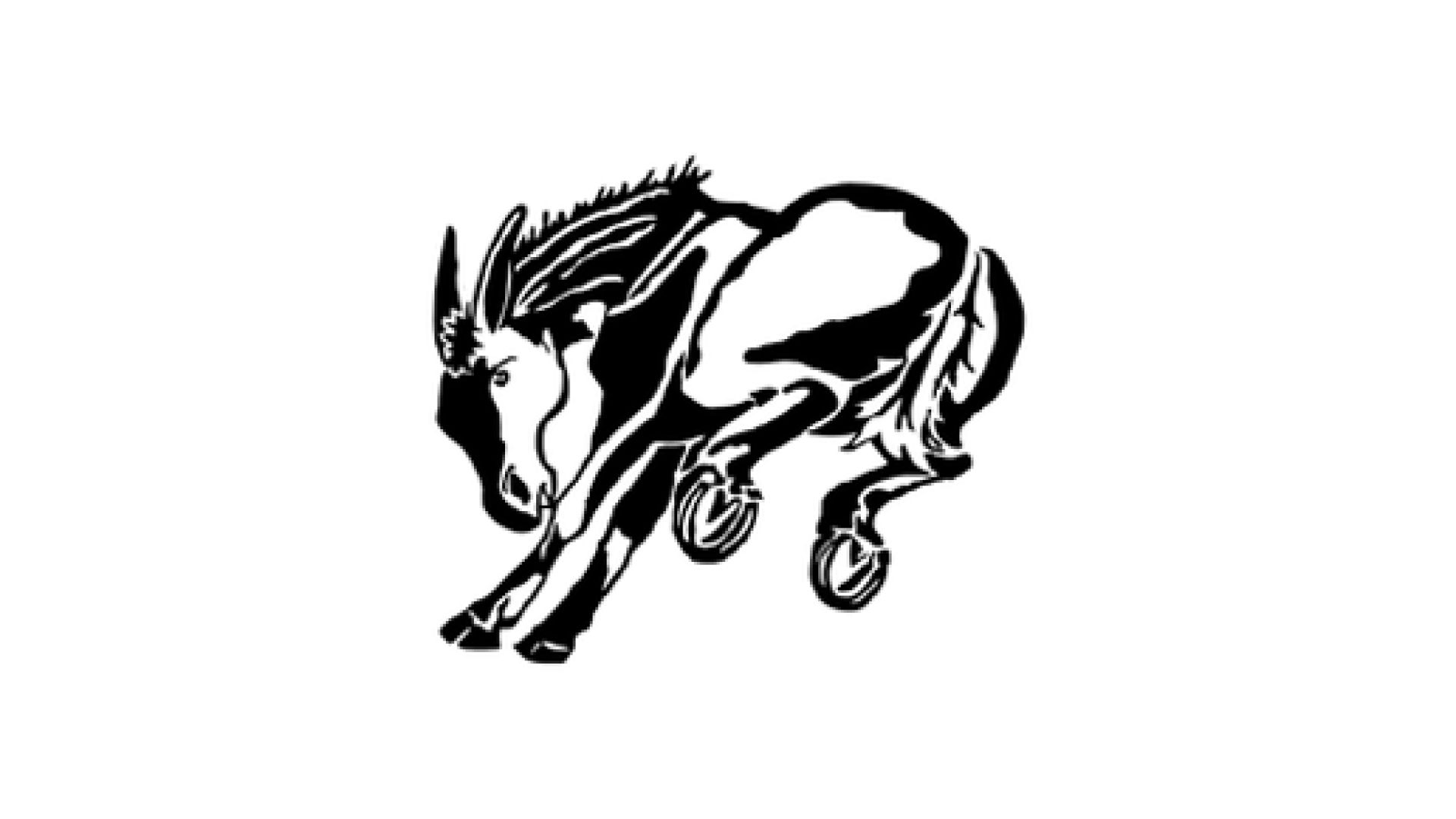 Muleshoe Mules (25-26)