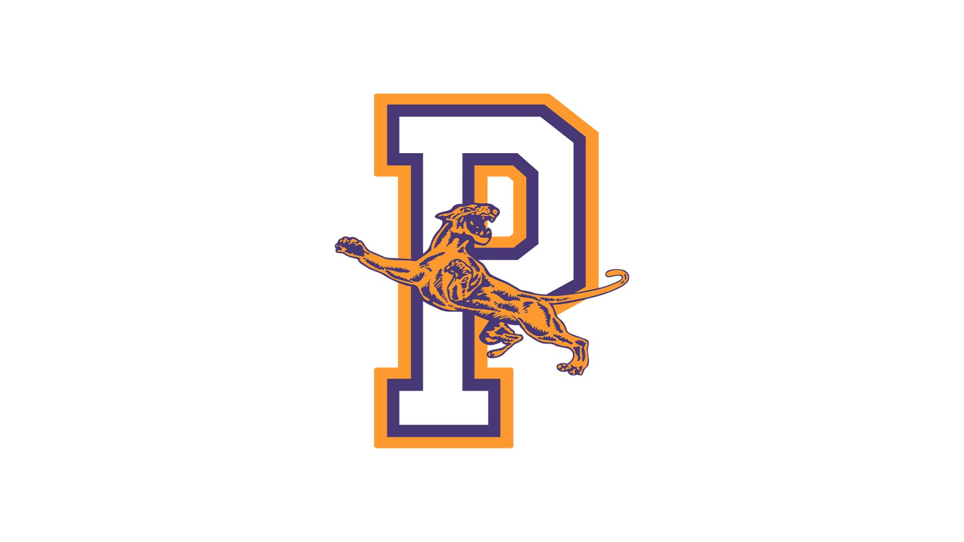 Panhandle Panthers (25-26)