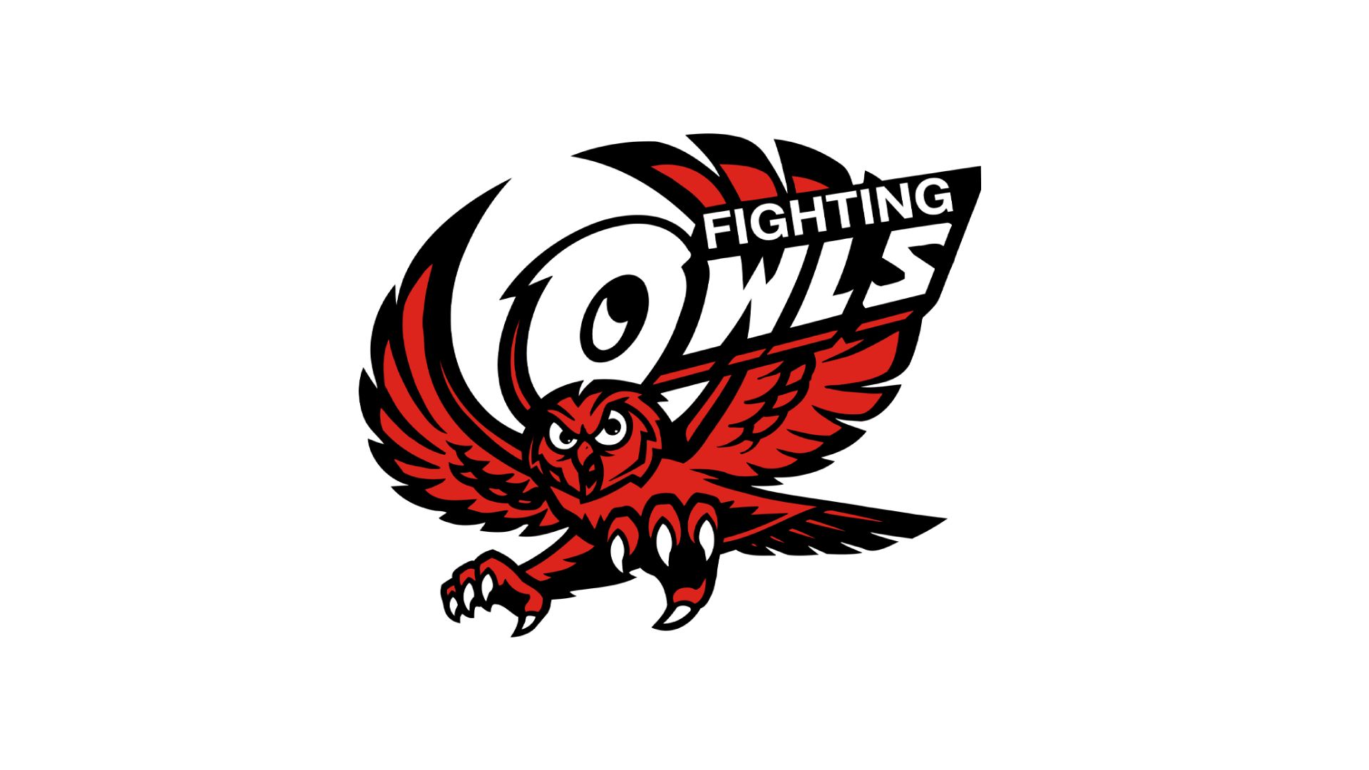 Silverton Owls (25-26)