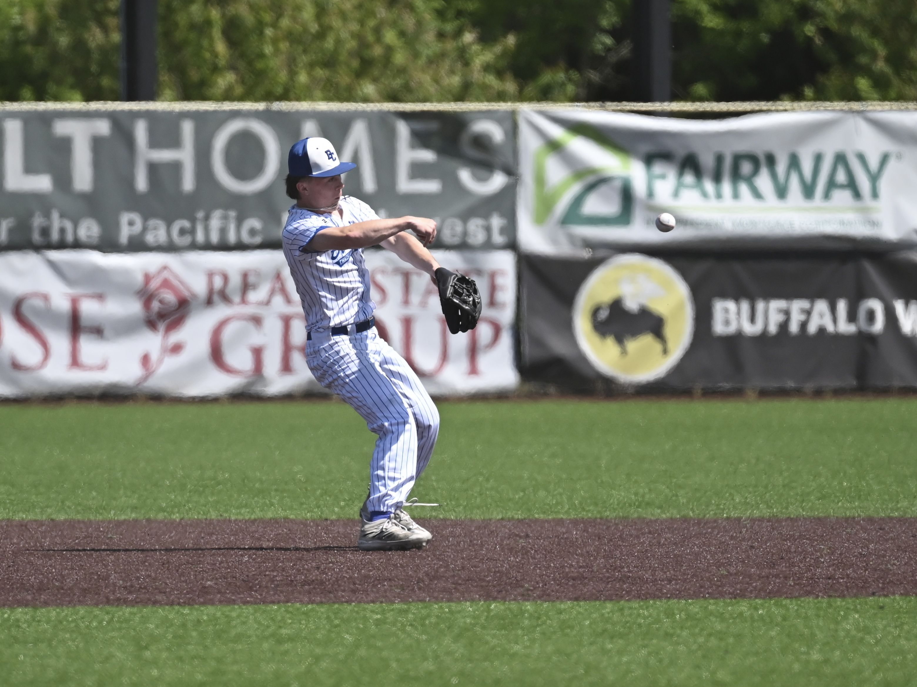 2025 WIAA 1A Baseball Playoffs