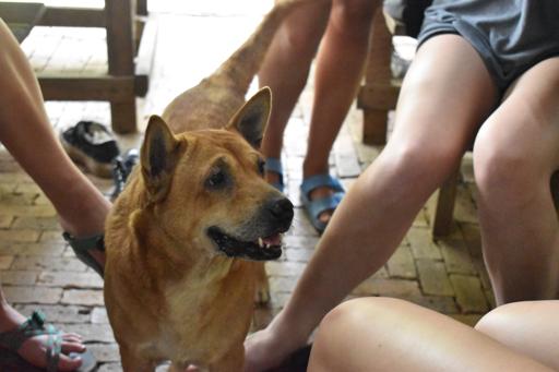 Day 5 - 07/01 - Chiang Mai