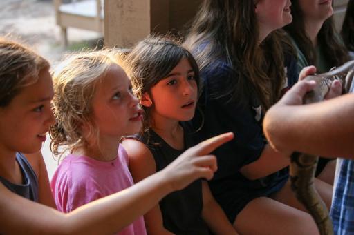 Session 2 (June 13-19)