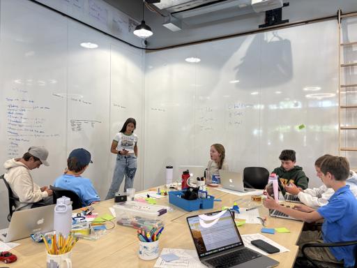 MS Interim - REDI Lab 2025