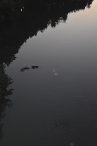 Day 4: Vatican City/Rome