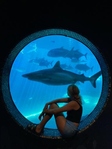 Day 12 - July 25 (Maui)