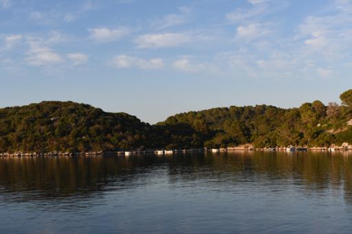 Day 7: National Park Mijet 