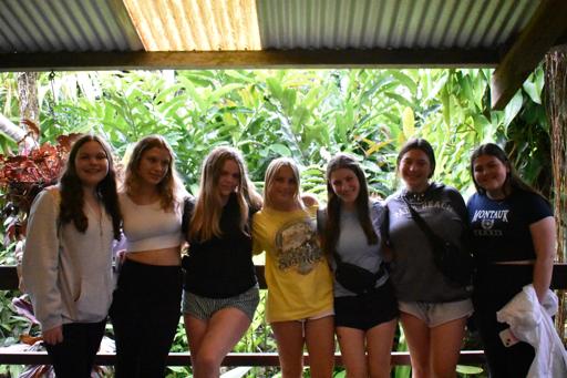 Day 5 - 07/05 - Kuranda  