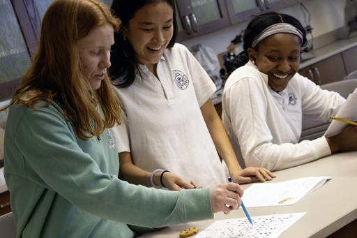 AP Environmental Science Cookie Excavation Lab