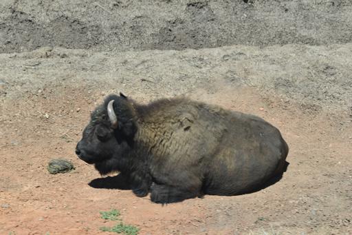 Day 8: Travel Day to Grand Canyon