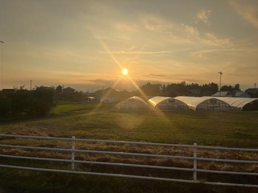 Day 6 - 8/2 - Miyagi