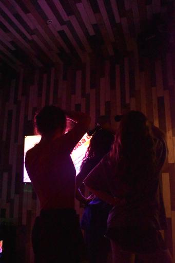 JDS1A Day 14 - Kyoto - July 9