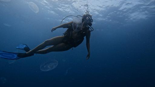 Belize Scuba & Service (July 6-12)