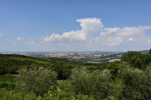 Day 7, July 4th, Montalcino and Rome