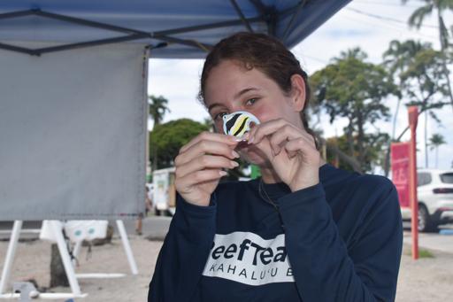 Day 18: Snorkeling Service and Summit Sunset!