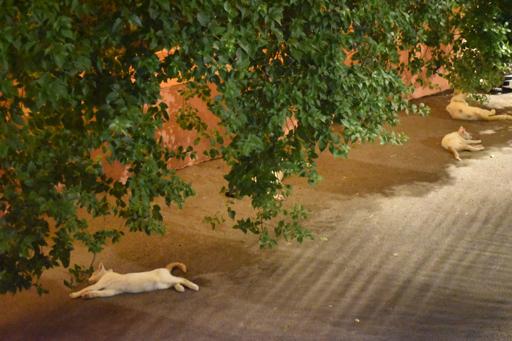 Spain, Portugal & Morocco (July 11-28)