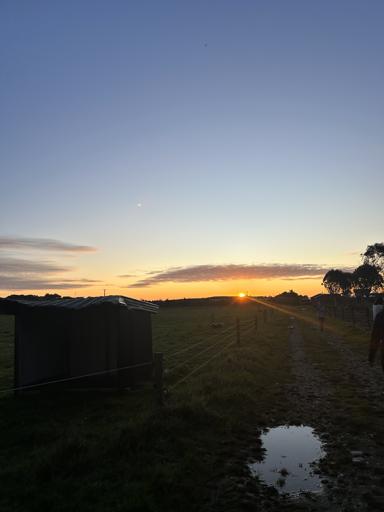 Day 9 - 24 July Hokitika