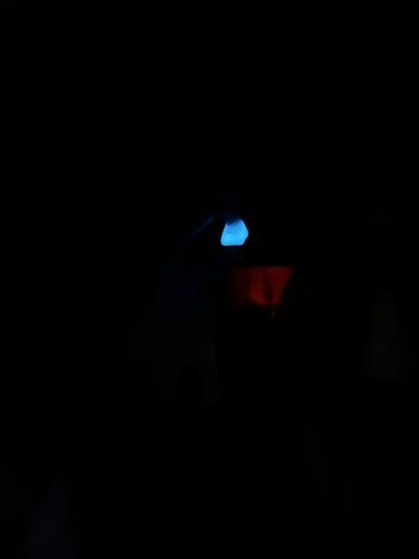 8th Grade Science