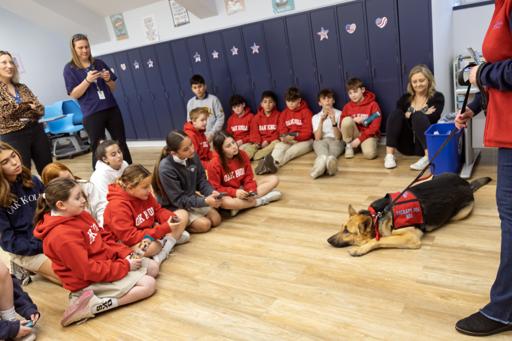 Rox (Therapy Dog) Visits Grade 6