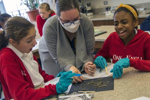 Owl Pellets Lab (Grade 6)