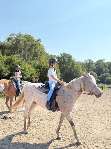 Mustang and Durango Village