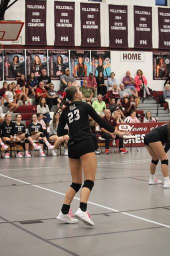 Volleyball