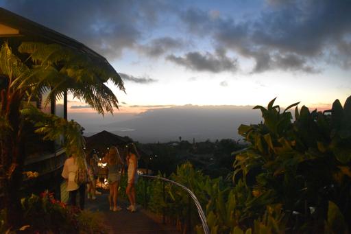 Day 6 - 7/13 Turtle Service & Ziplining
