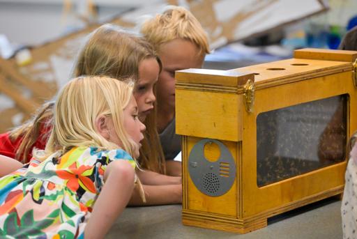 Kindergarten Science with CA Beekeeper