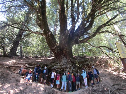 Survival Skills 5th - 7th