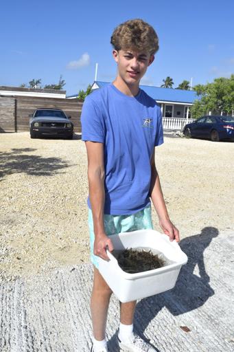 Day 5: 7/3 Key Largo