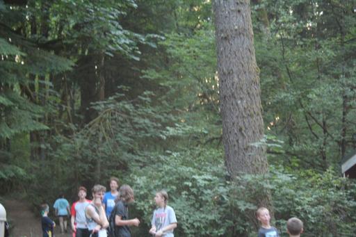 Junior 2 - Day 2 - Tuesday