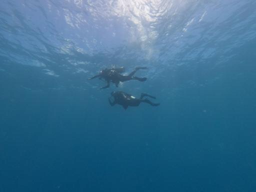 Day 2 - O'ahu - Scuba Diving & Surfing