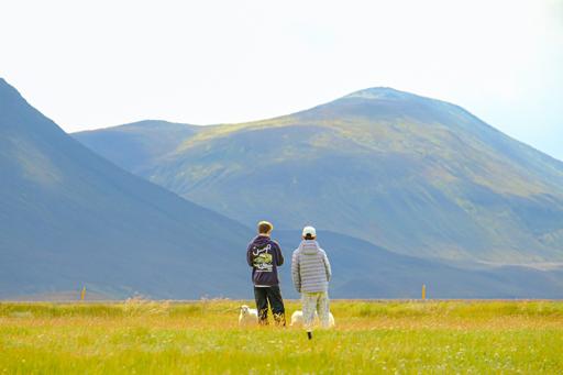 Iceland Adventure (July 31-August 12)